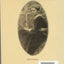 The Country Diary of an Edwardian Lady by Holden, Edith