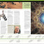 Science Year by Year: The Ultimate Visual Guide to the Discoveries that Changed the World (DK Definitive Visual Histories)