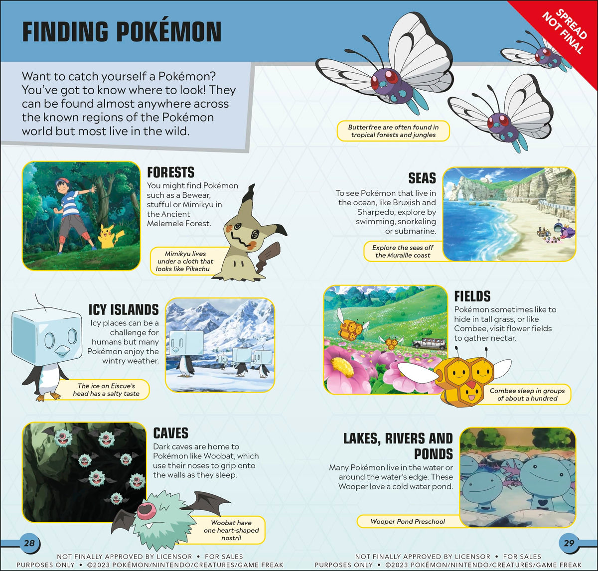 Pokémon Pocket Expert