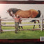 Everything but the Horse