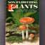 Non-Flowering Plants; Ferns, Mosses, Lichens, Mushrooms and