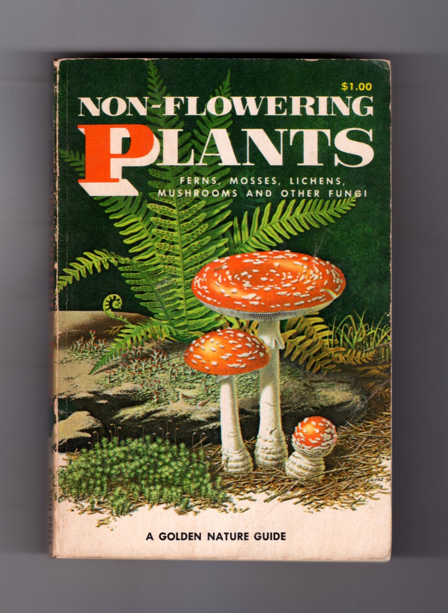 Non-Flowering Plants; Ferns, Mosses, Lichens, Mushrooms and