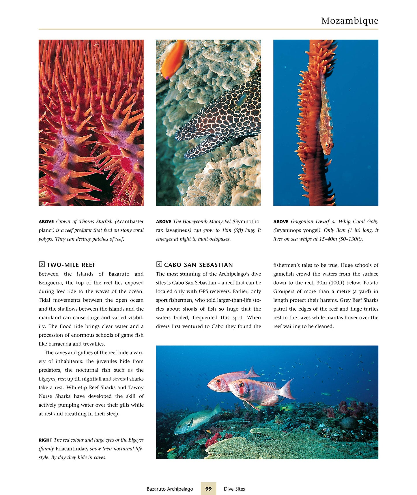 Dive Atlas of the World: An Illustrated Reference to the Bes