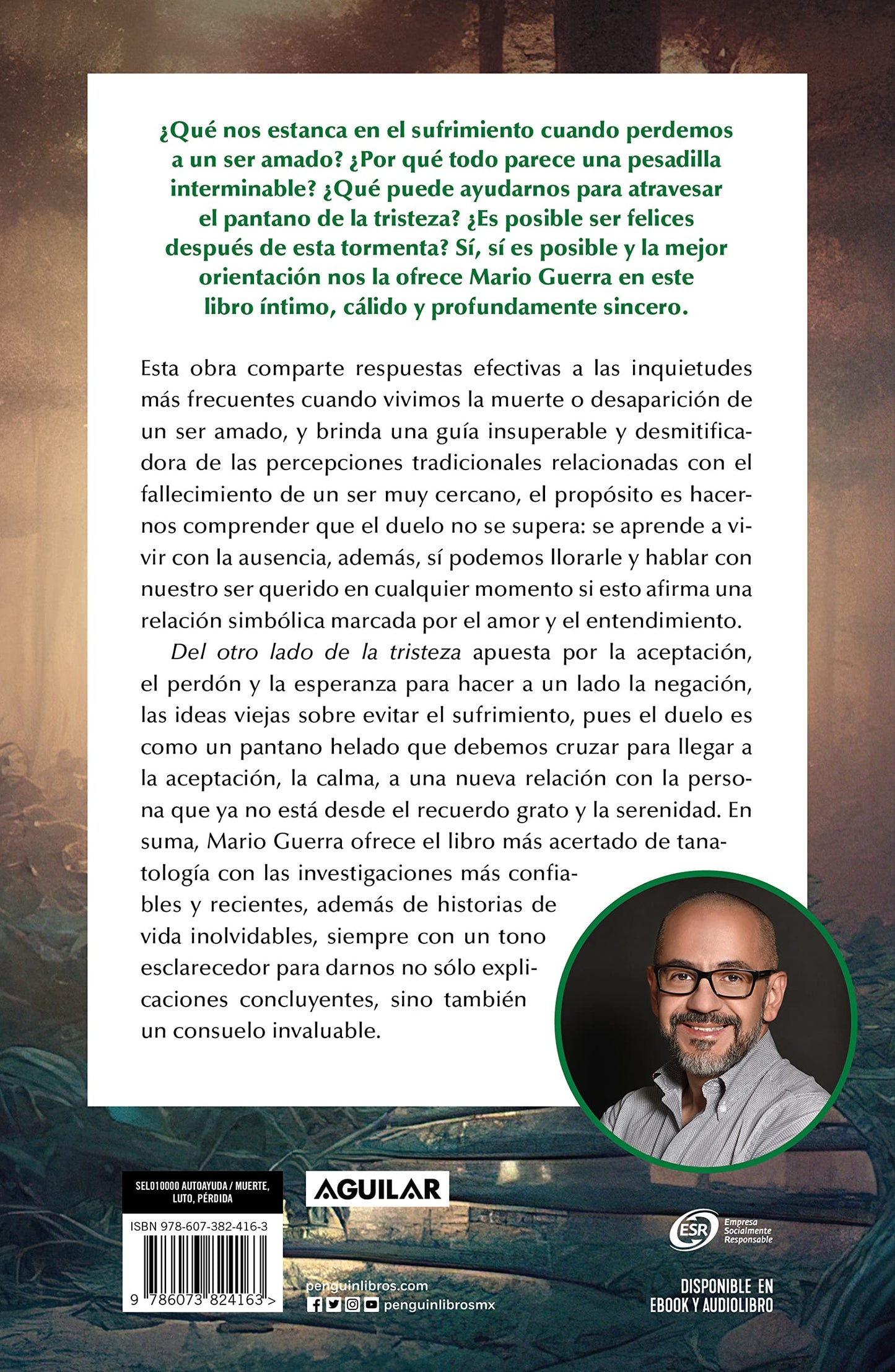 Del otro lado de la tristeza. Aprende como seguir adelante en momentos de prdid a y duelo / On the Other Side of Sadness. Learn How to Move on in Times of Los (Spanish Edition)