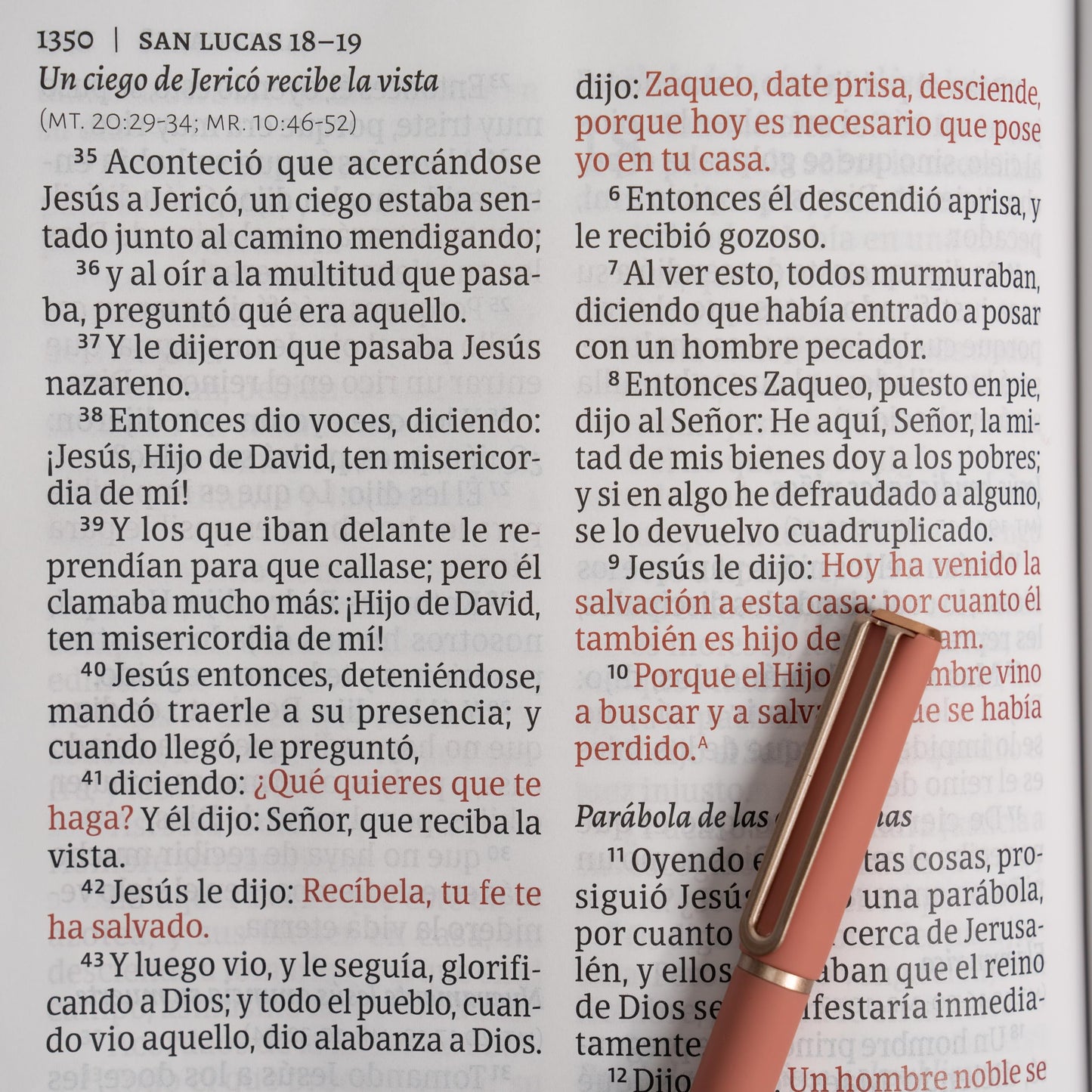 RVR 1960 Biblia letra gigante, floreada smil piel (Edicin 2023): Santa Biblia (Spanish Edition)