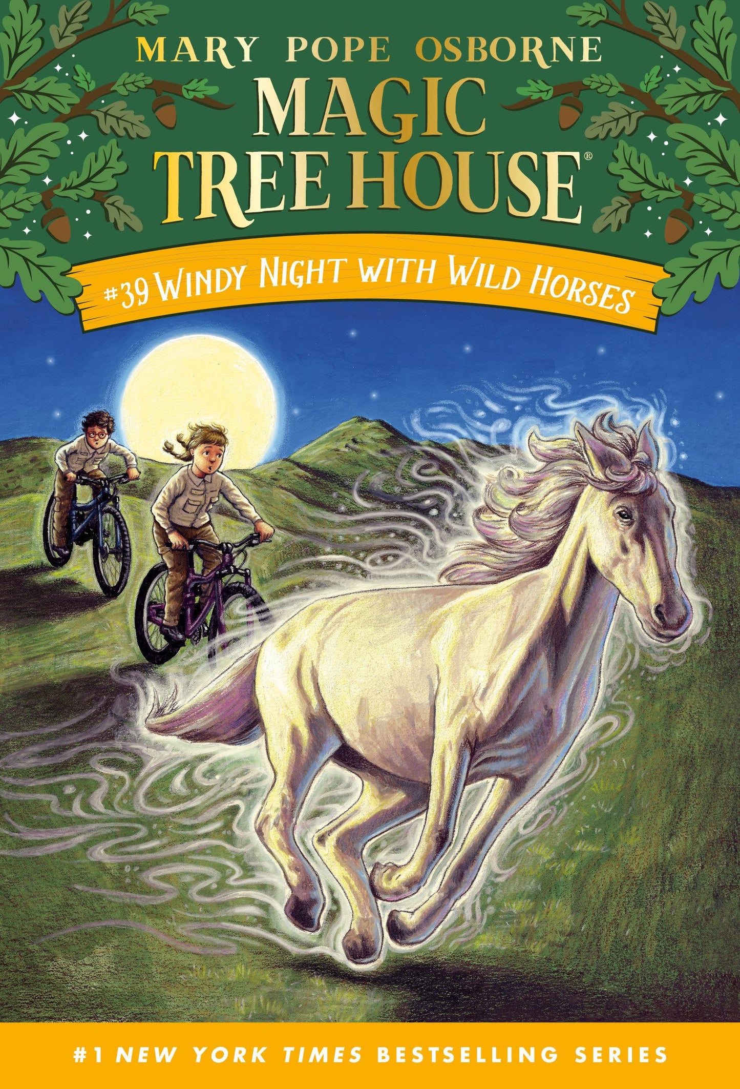 Windy Night with Wild Horses (Magic Tree House)