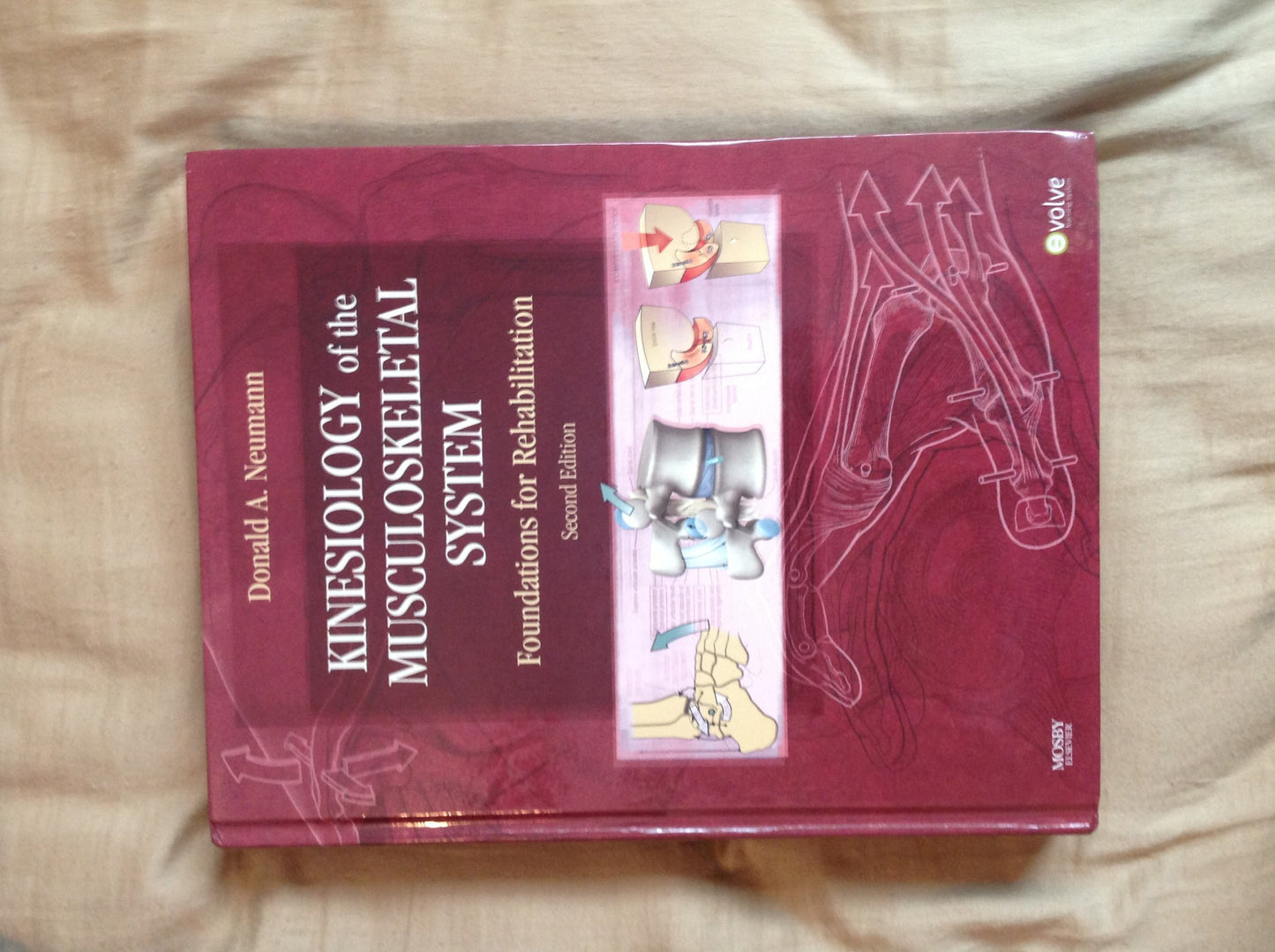 Kinesiology of the Musculoskeletal System: Foundations for R