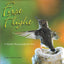 First Flight: A Mother Hummingbird's Story