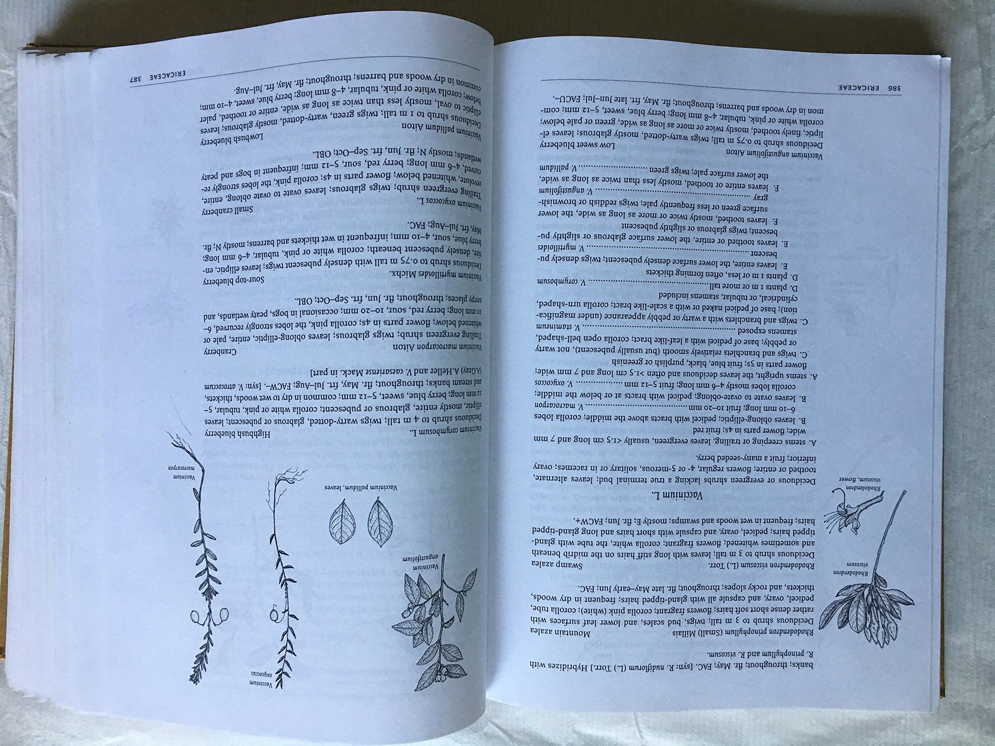 The Plants of Pennsylvania: An Illustrated Manual