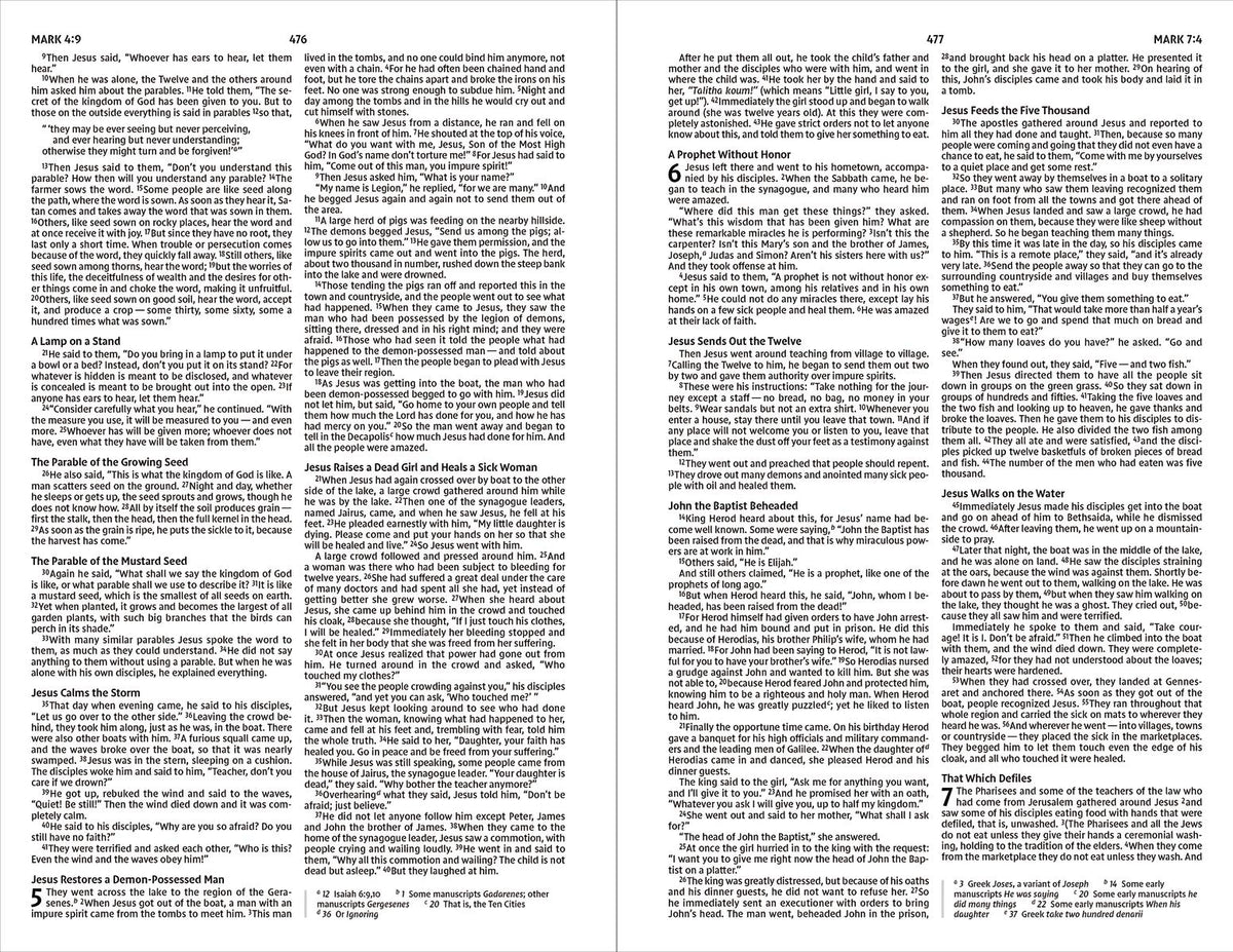New International Version, Holy Bible, Hope for Every Day