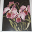 The Forgotten Orchids of Alexandre Brun