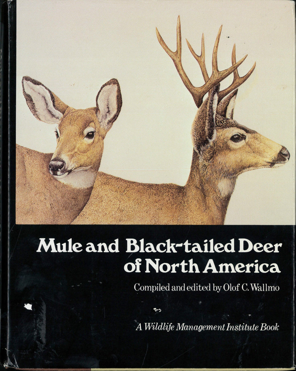 Mule and Black-Tailed Deer of North America