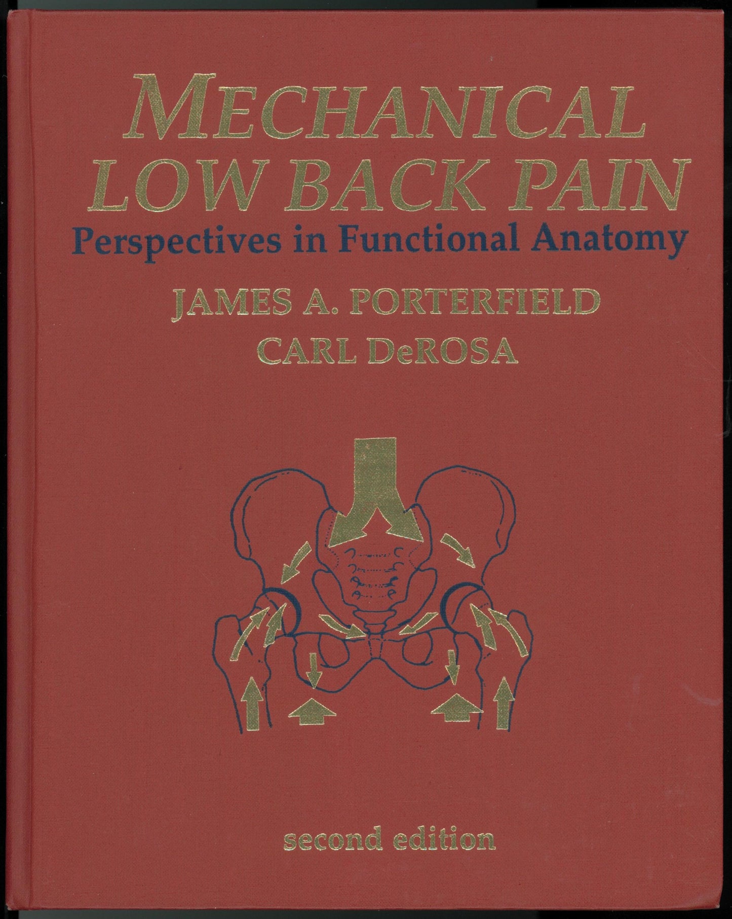 Mechanical Low Back Pain: Perspectives in Functional Anatomy