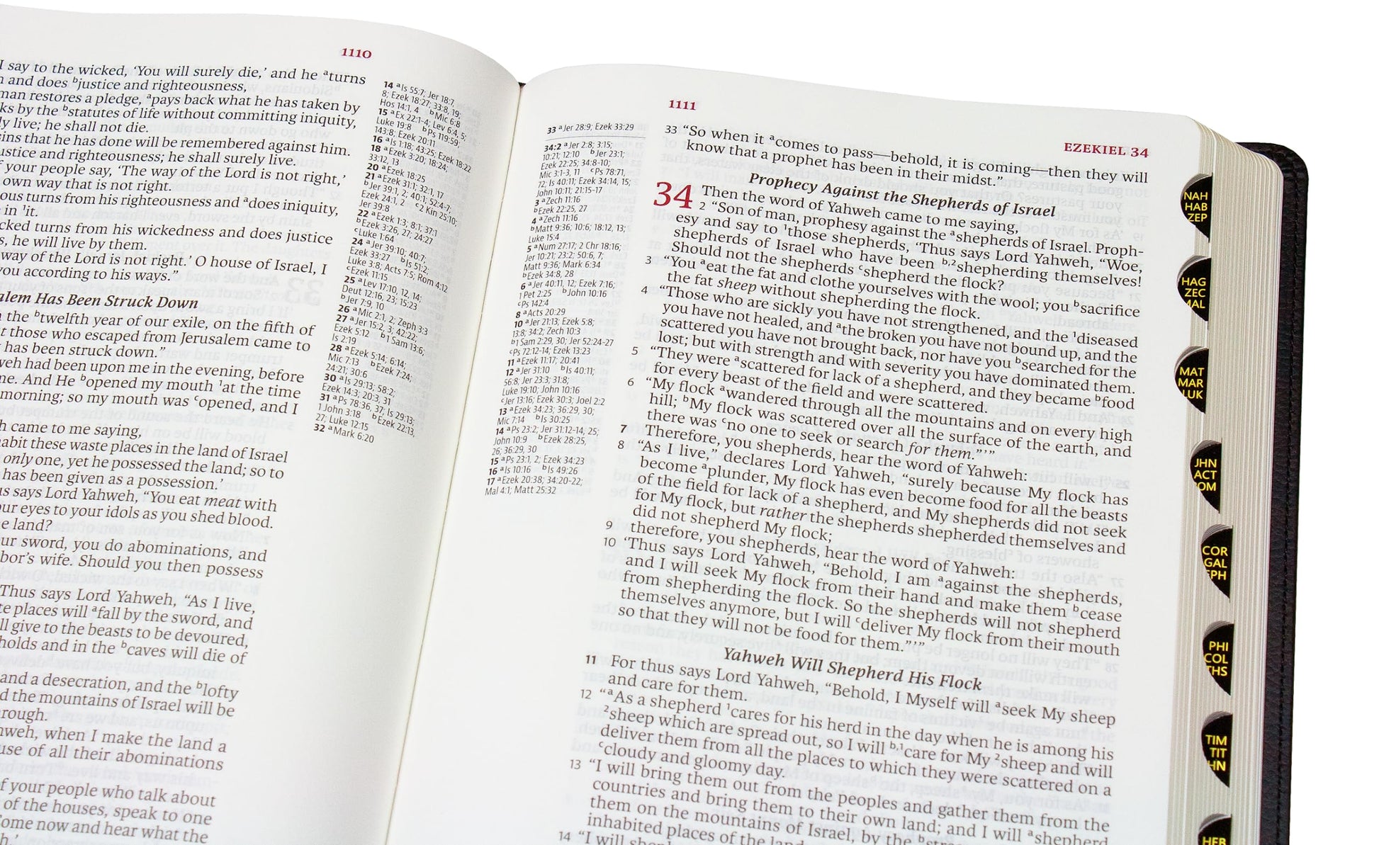 LSB Holy Bible, Large Print, Black Premium Genuine Leather (Cowhide), Thumb Index Edition: Legacy Standard Bible with Inside Column Cross References, 40 GSM paper, 2 Ribbon Markers, & Gold Page Edges