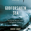 Godforsaken Sea : Racing the World's Most Dangerous Waters