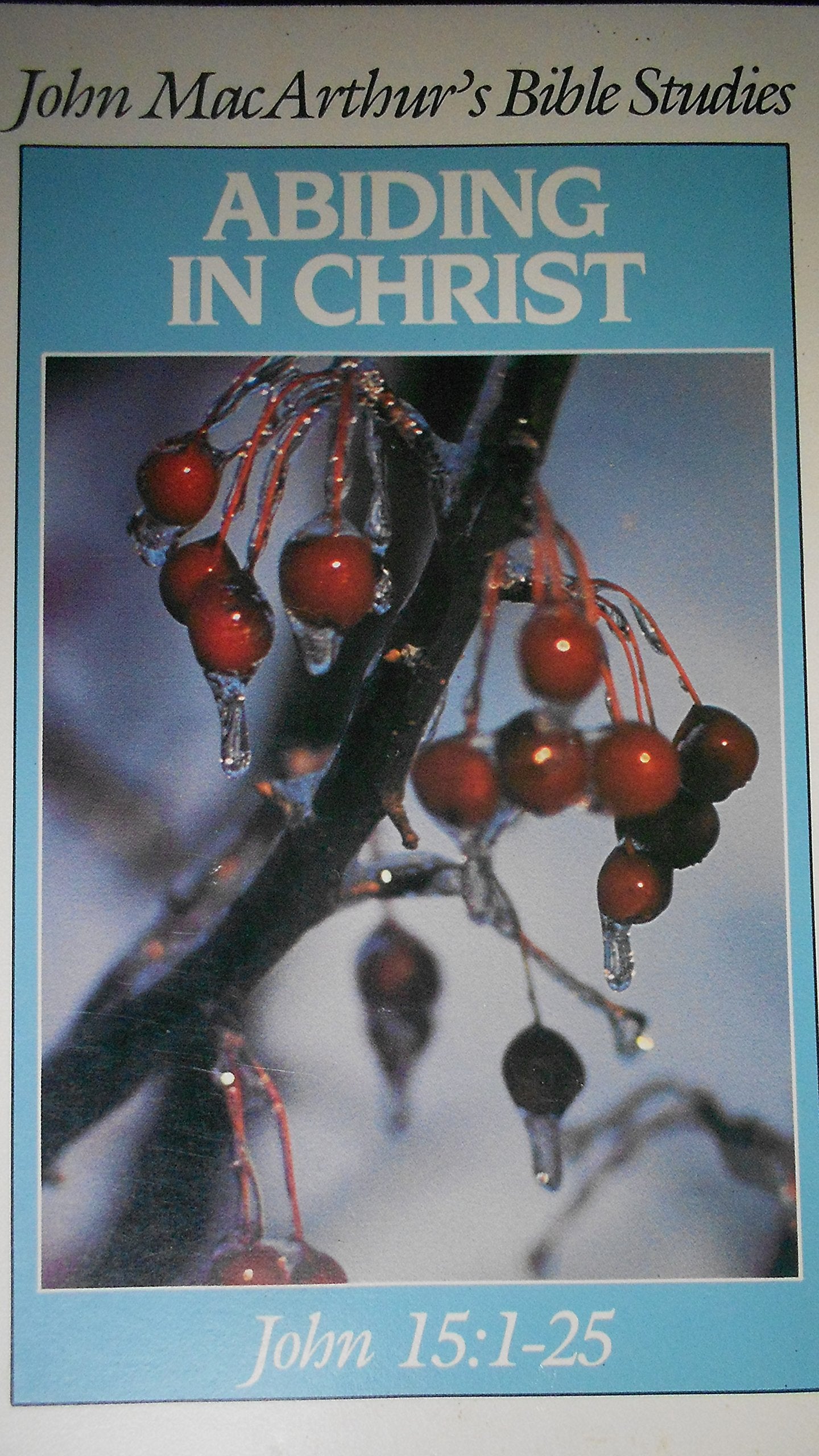 Abiding in Christ (John MacArthurs Bible studies)