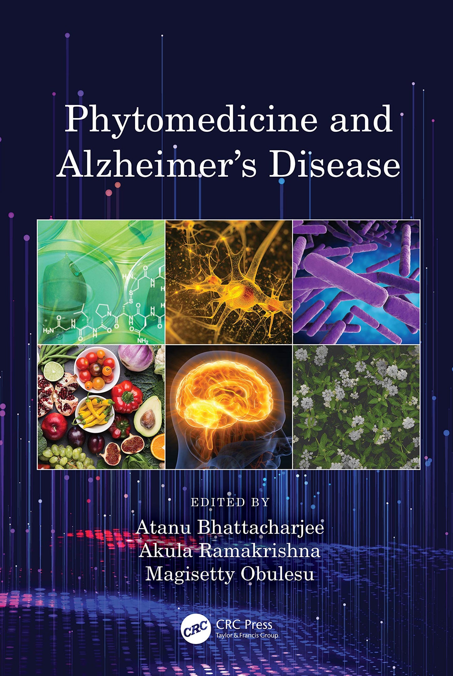 Phytomedicine and Alzheimers Disease