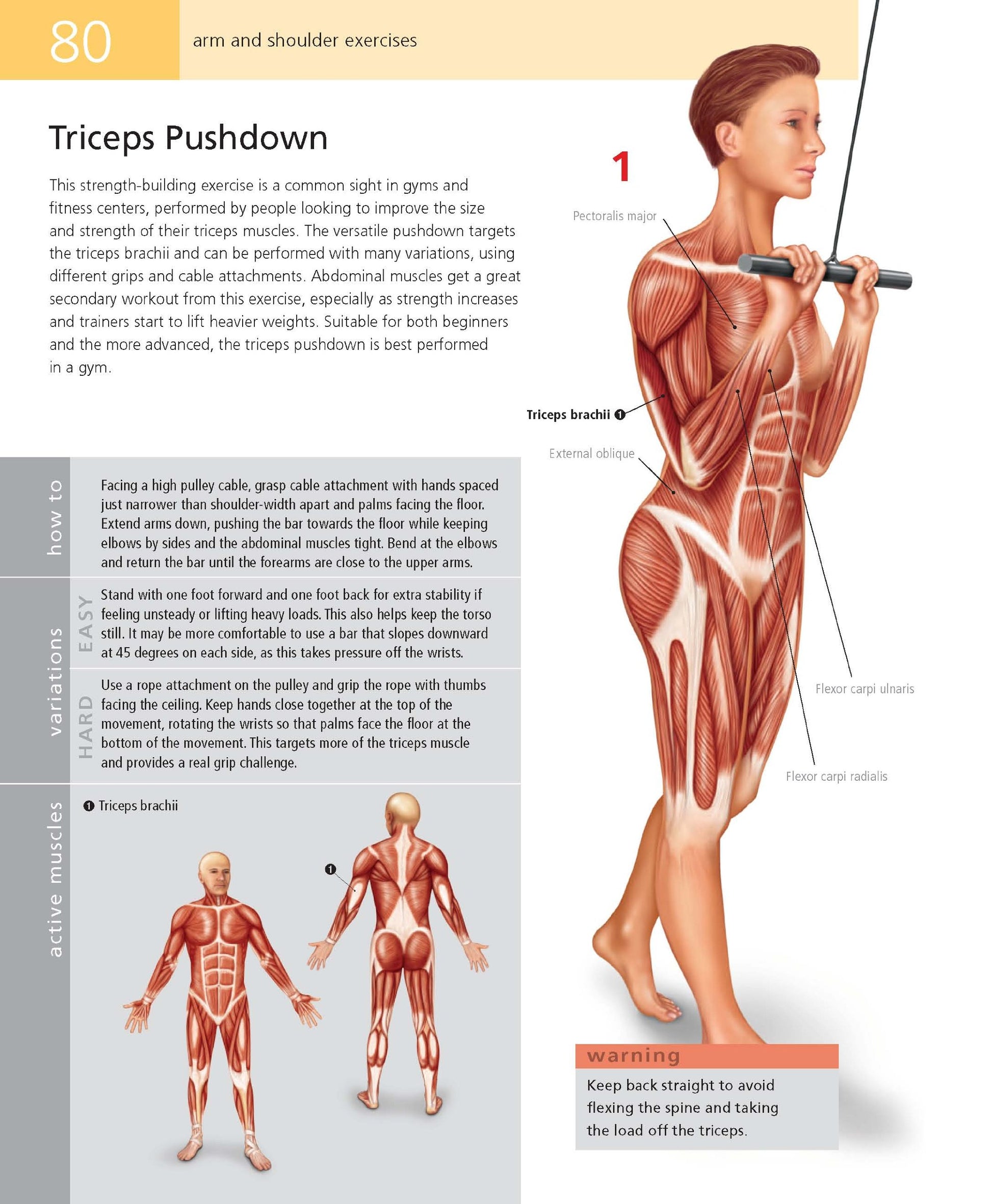 Student's Anatomy of Exercise Manual: 50 Essential Exercises Including Weights, Stretches, and Cardio