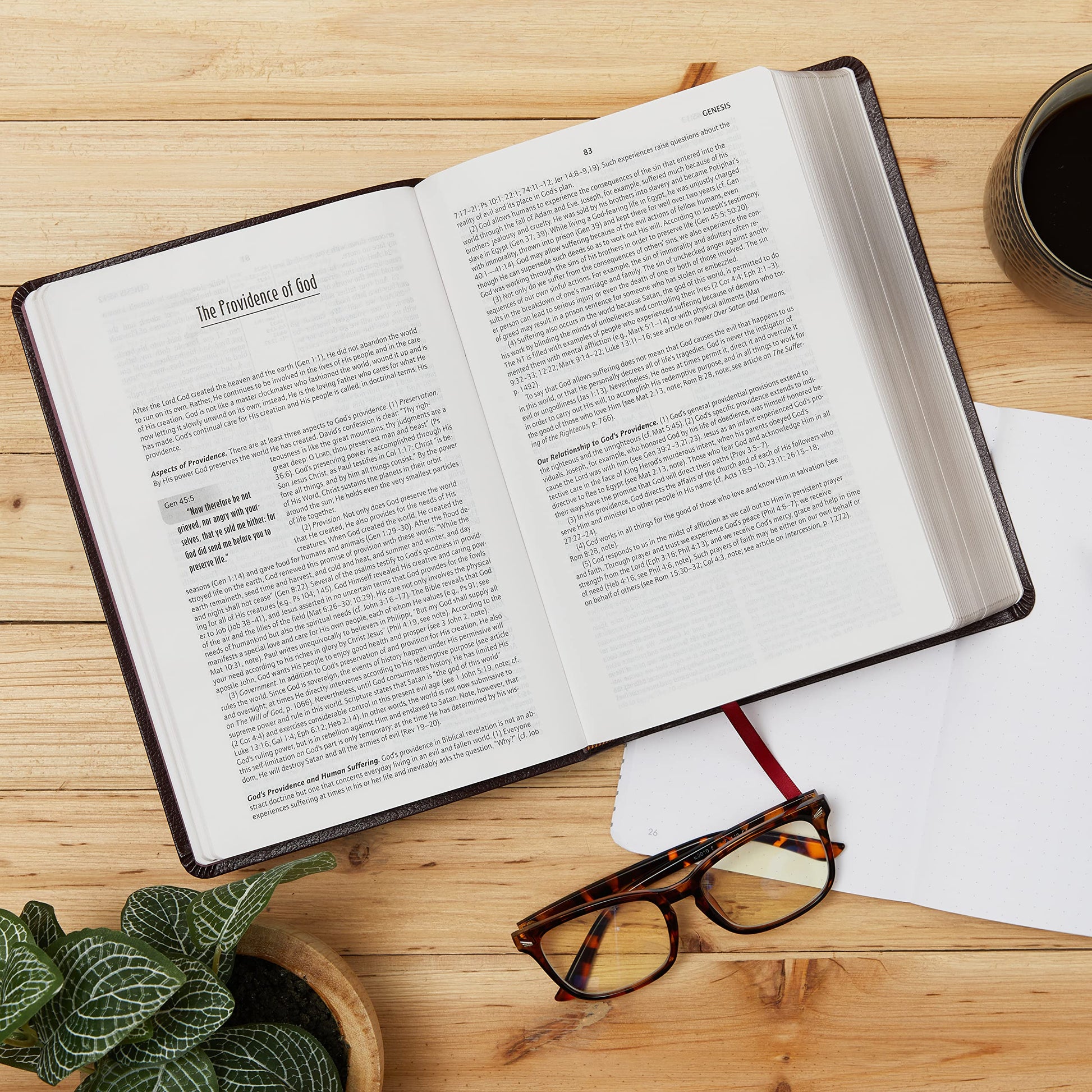 KJV Life in the Spirit Study Bible
