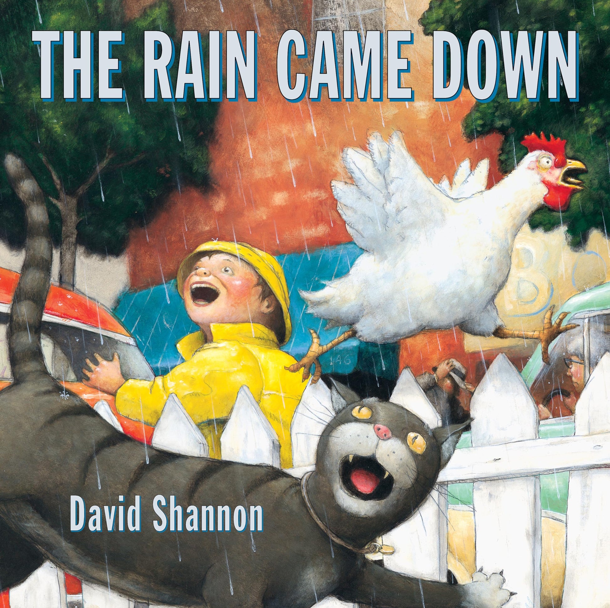 The Rain Came Down (Scholastic Bookshelf)
