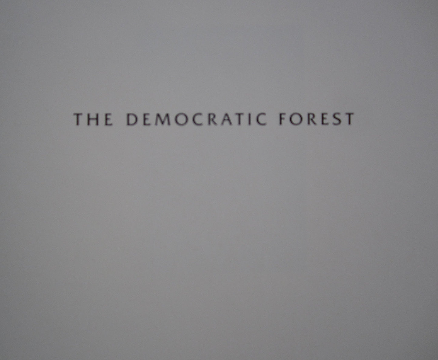 The Democratic Forest by William Eggleston