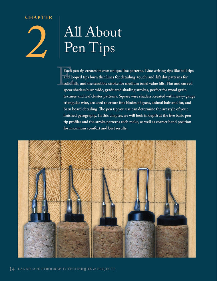 Landscape Pyrography Techniques & Projects: A Beginner's Guide to Burning by Layer for Beautiful Results (Fox Chapel Publishing) Woodburning Textured, Lifelike Scenes in Layers, with Lora S. Irish — back cover