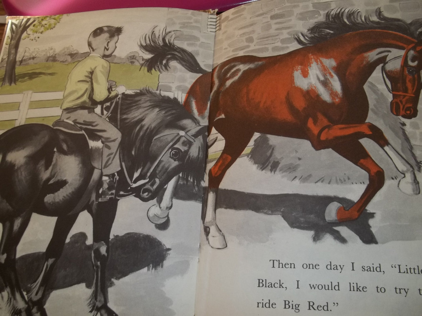 Little Black, A Pony by Walter Farley - New Hardcover
