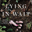 Lying in Wait: A Novel