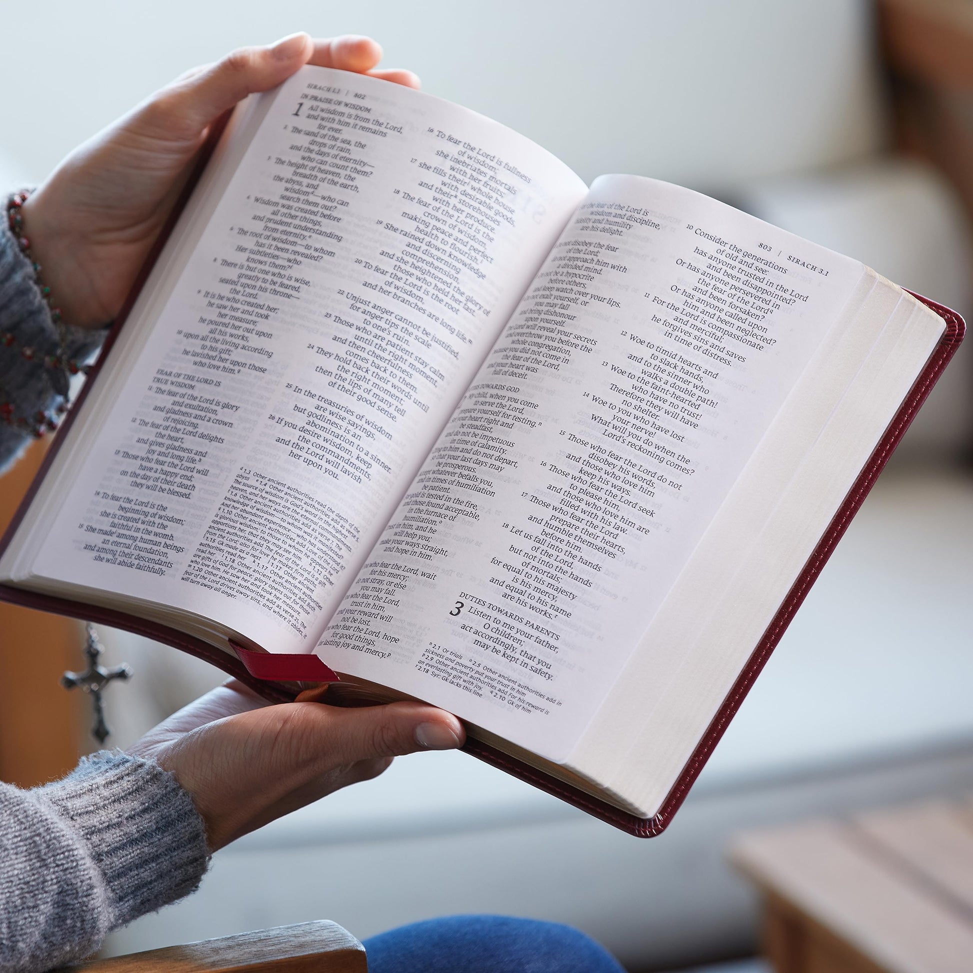 NRSV Large Print Standard Catholic Bible, Red Leathersoft (Comfort Print, Holy Bible, Complete Catholic Bible, NRSV CE): Holy Bible