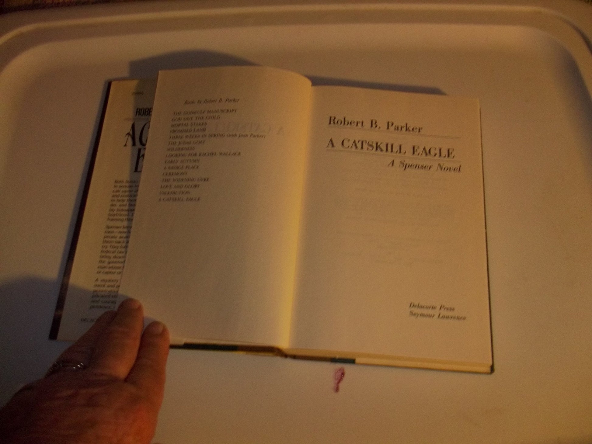 A Catskill Eagle