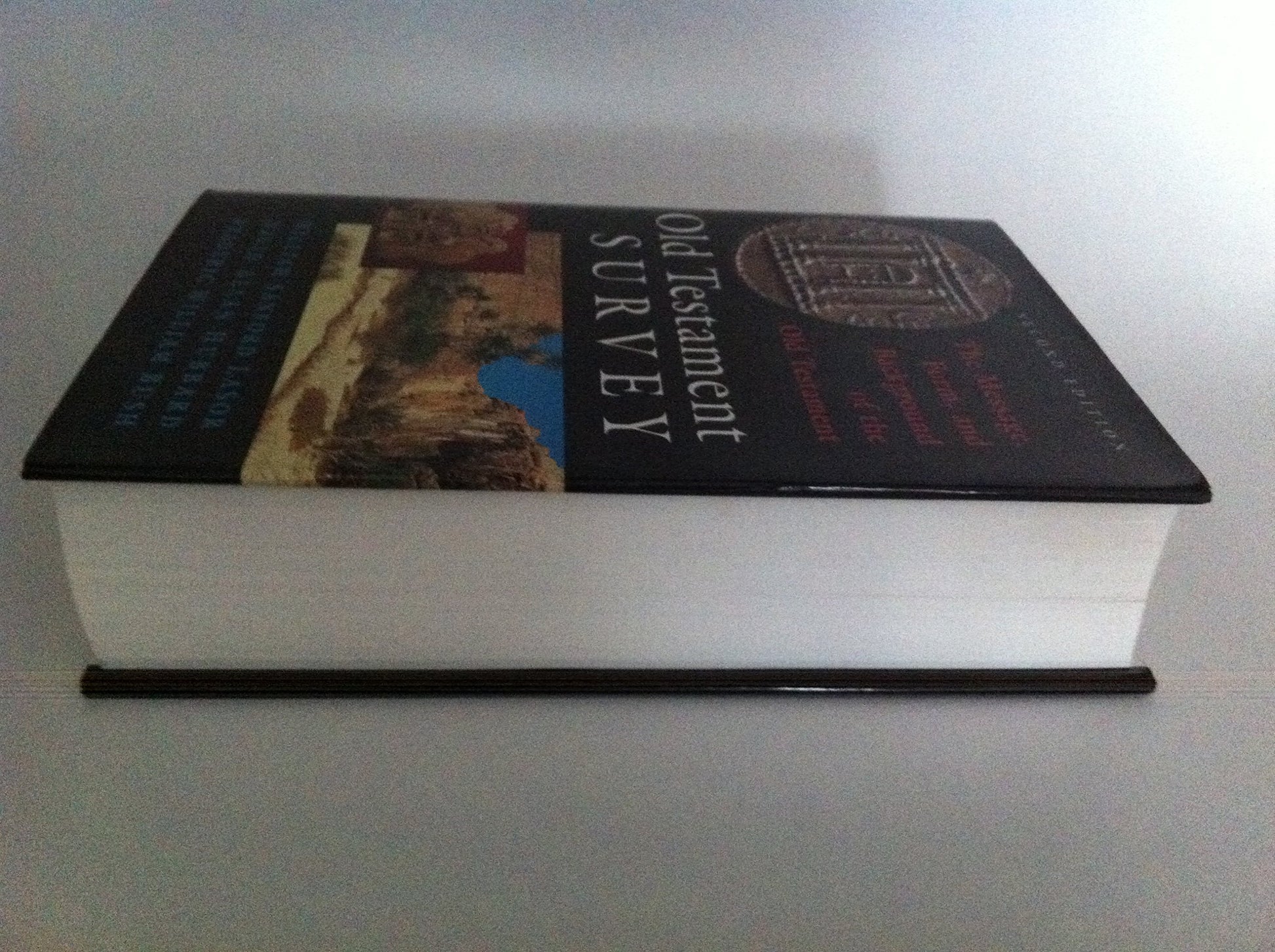 Old Testament Survey: The Message, Form, and Background of the Old Testament