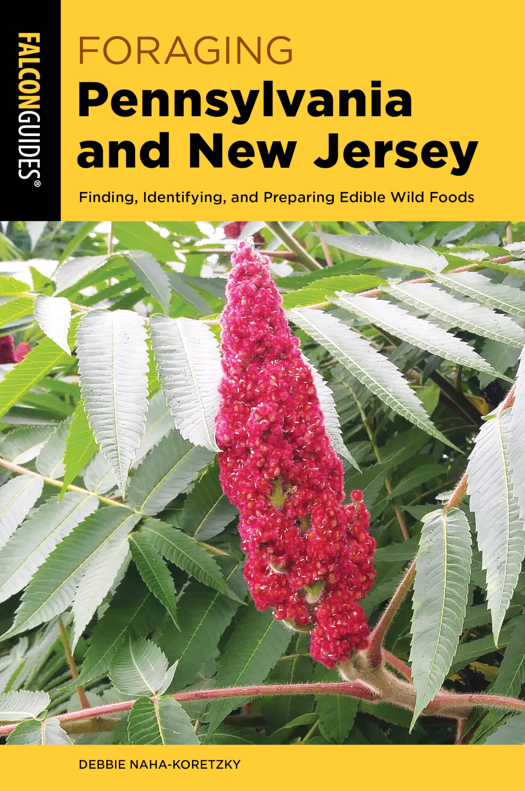 Foraging Pennsylvania and New Jersey: Finding, Identifying, and Preparing Edible Wild Foods (Foraging Series)