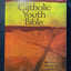 The Catholic Youth Bible,Third Edition, NABRE: New American Bible Revised Edition