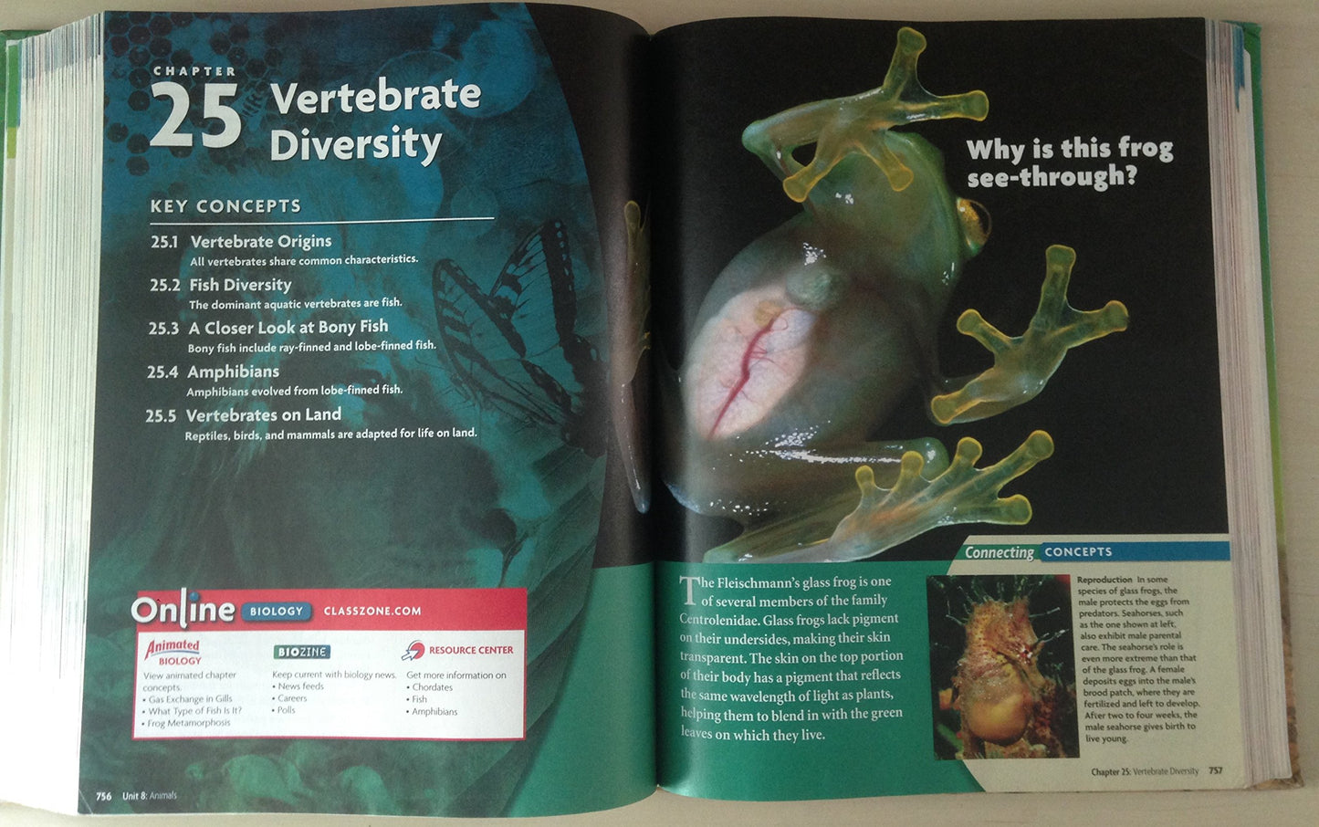 Biology California Student Edition (McDougal Littell Biology)