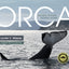 Orca: Shared Waters, Shared Home