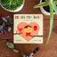 Besos for Baby: A Little Book of Kisses (Little Libros of Love, 1) (Spanish and English Edition)