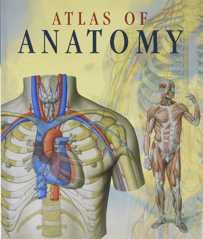 Atlas of Human Anatomy