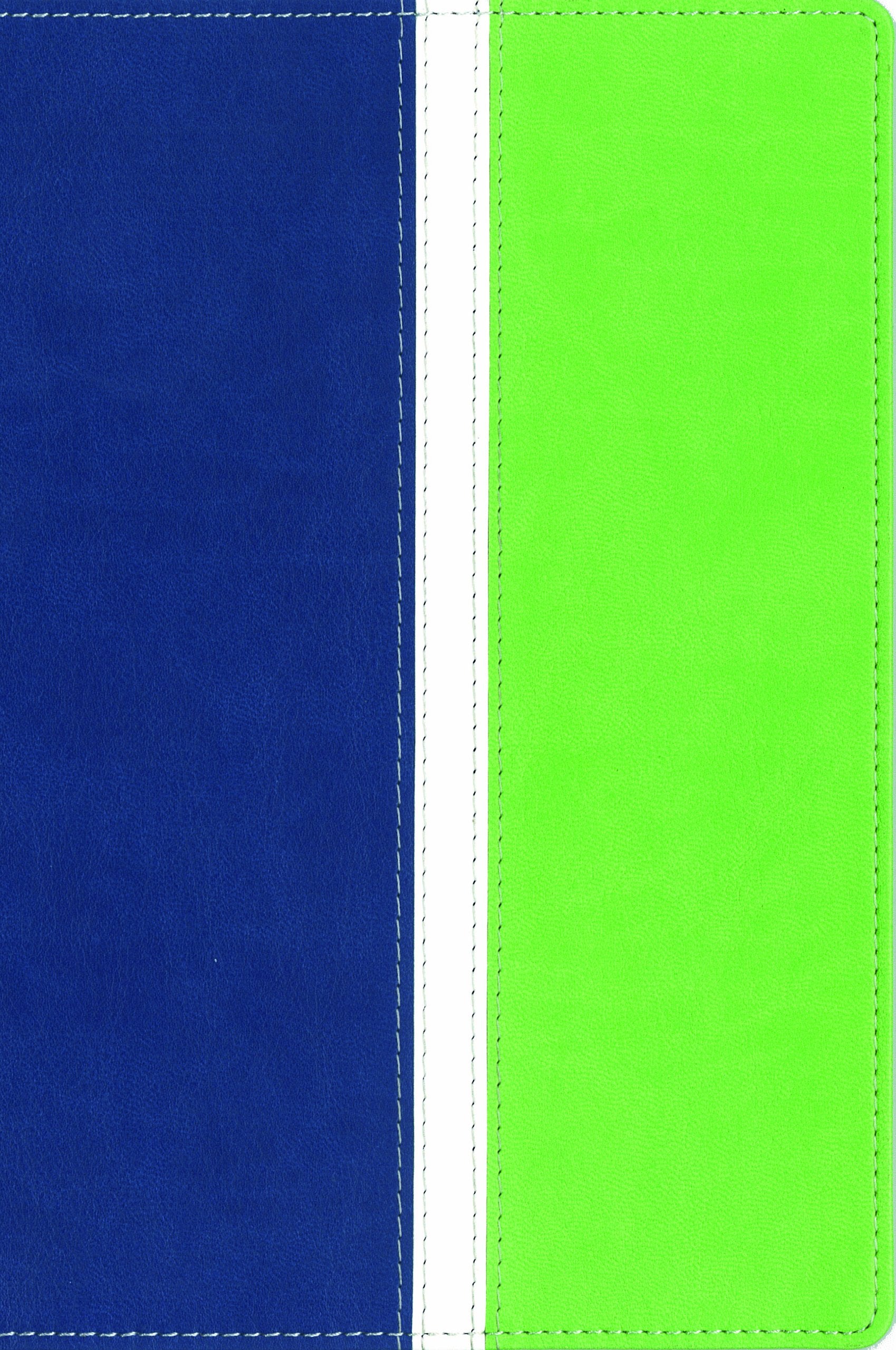 NIV, Busy Mom's Bible, Imitation Leather, Blue/Green: Daily Inspiration Even If You Only Have One Minute
