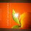 Cold Tangerines: Celebrating the Extraordinary Nature of Everyday Life