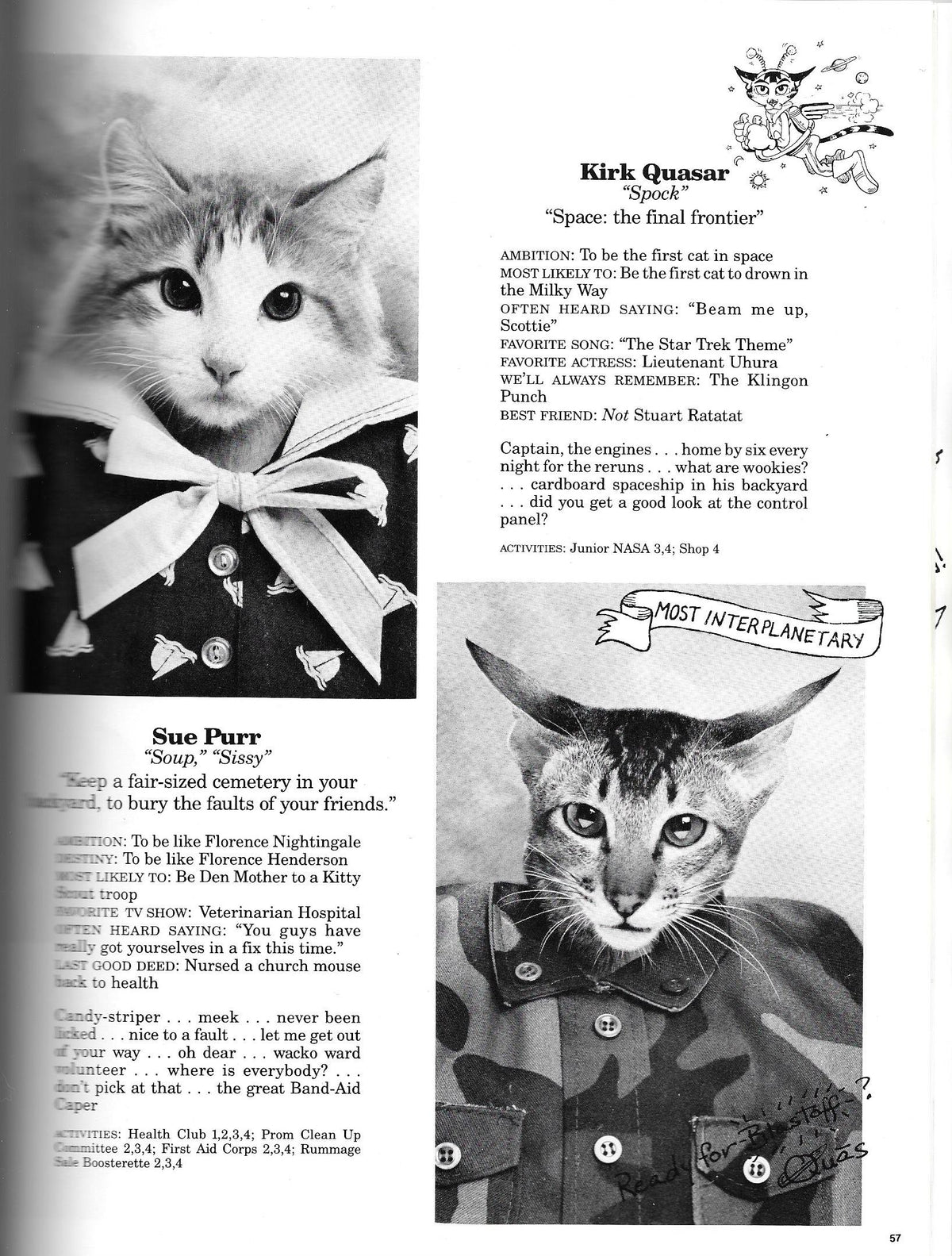 Cat High: The Yearbook