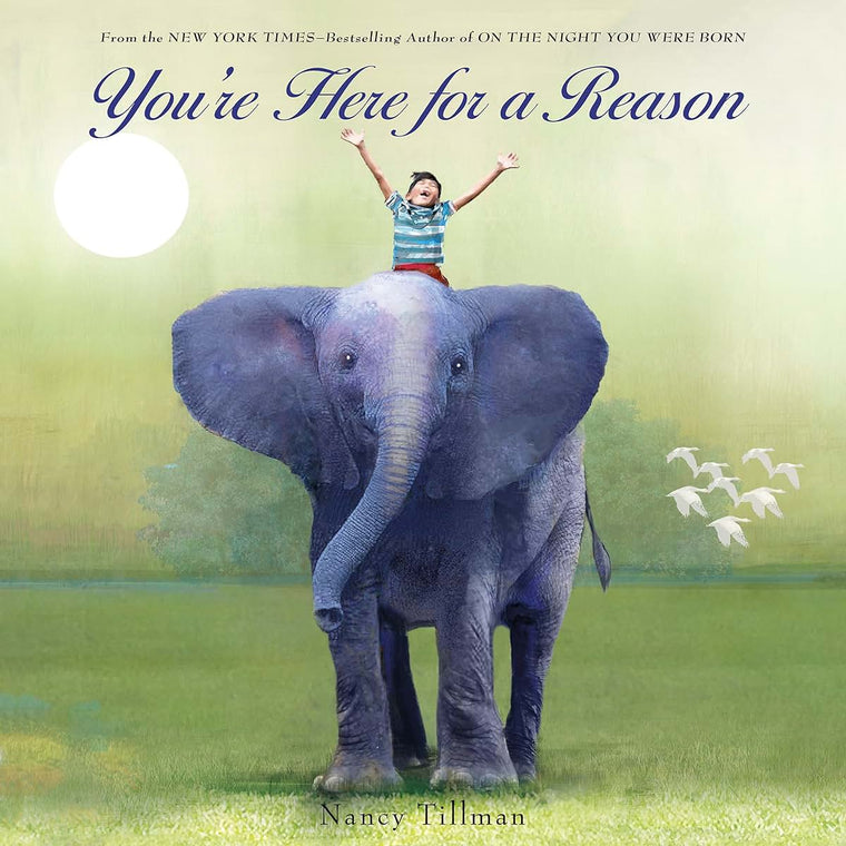 You're Here for a Reason by Tillman, Nancy