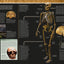 Evolution: The Human Story, 2nd Edition