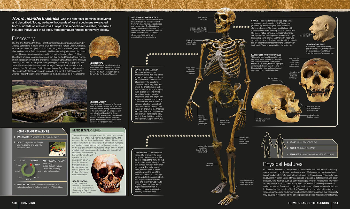 Evolution: The Human Story, 2nd Edition