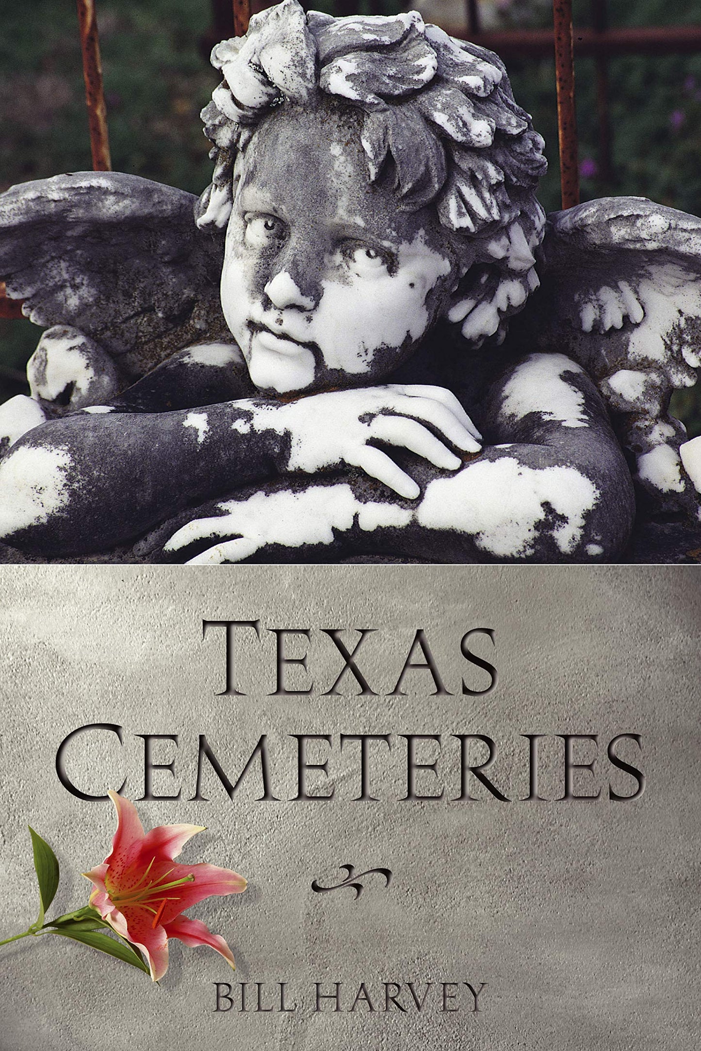 Texas Cemeteries: The Resting Places of Famous, Infamous, and Just Plain Interesting Texans (Clifton and Shirley Caldwell Texas Heritage Series)