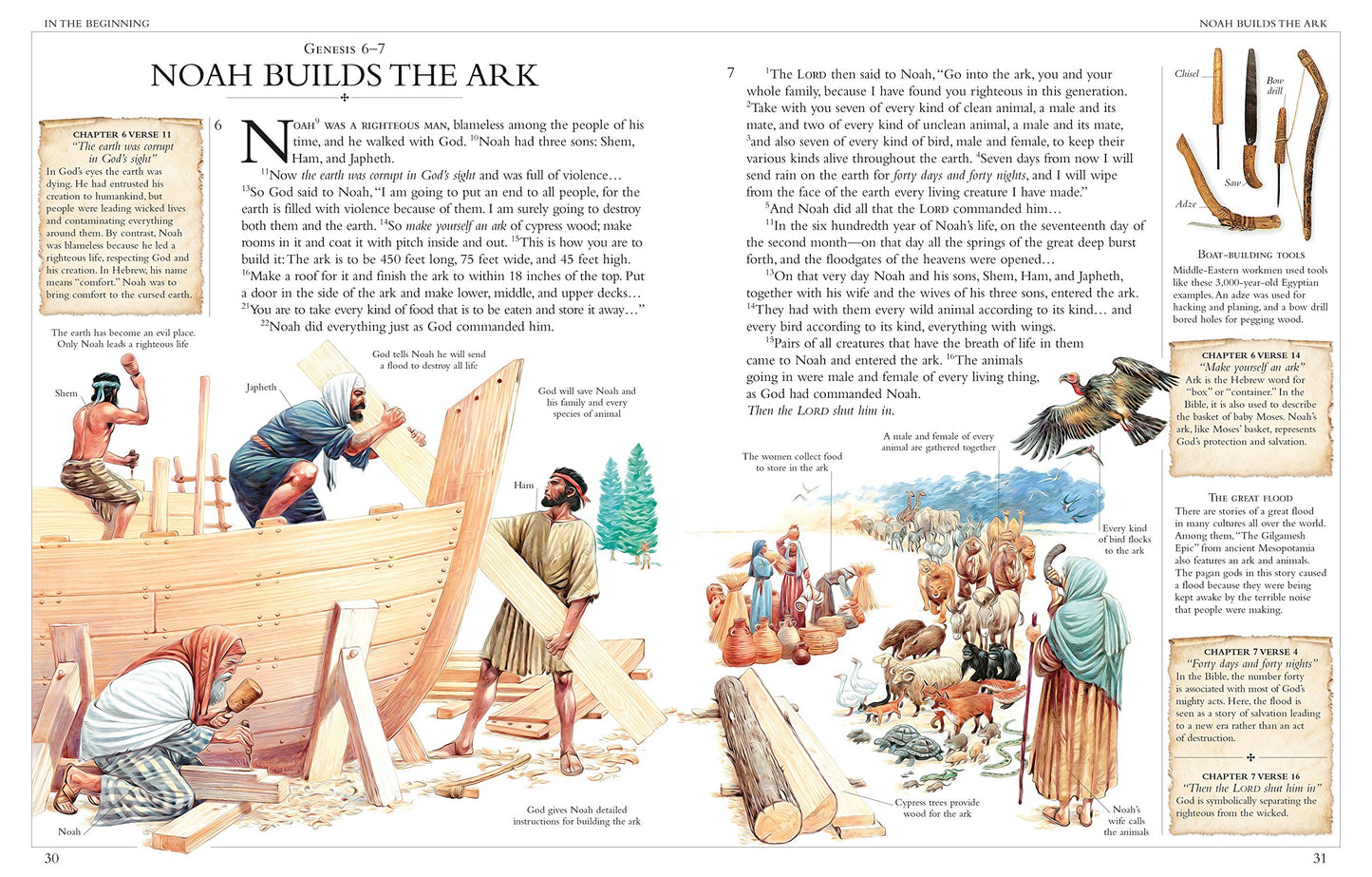 Illustrated Family Bible: Understanding the Greatest Story E