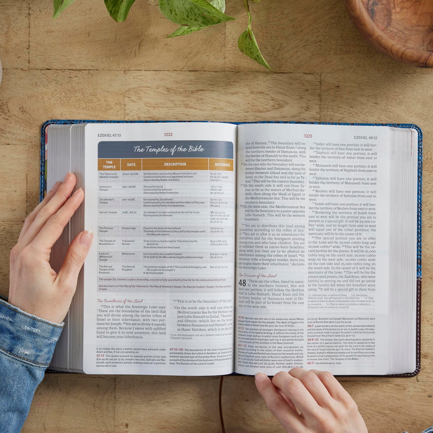 NIV, The Woman's Study Bible, Cloth over Board, Pink, Full-Color, Red Letter: Receiving God's Truth for Balance, Hope, and Transformation