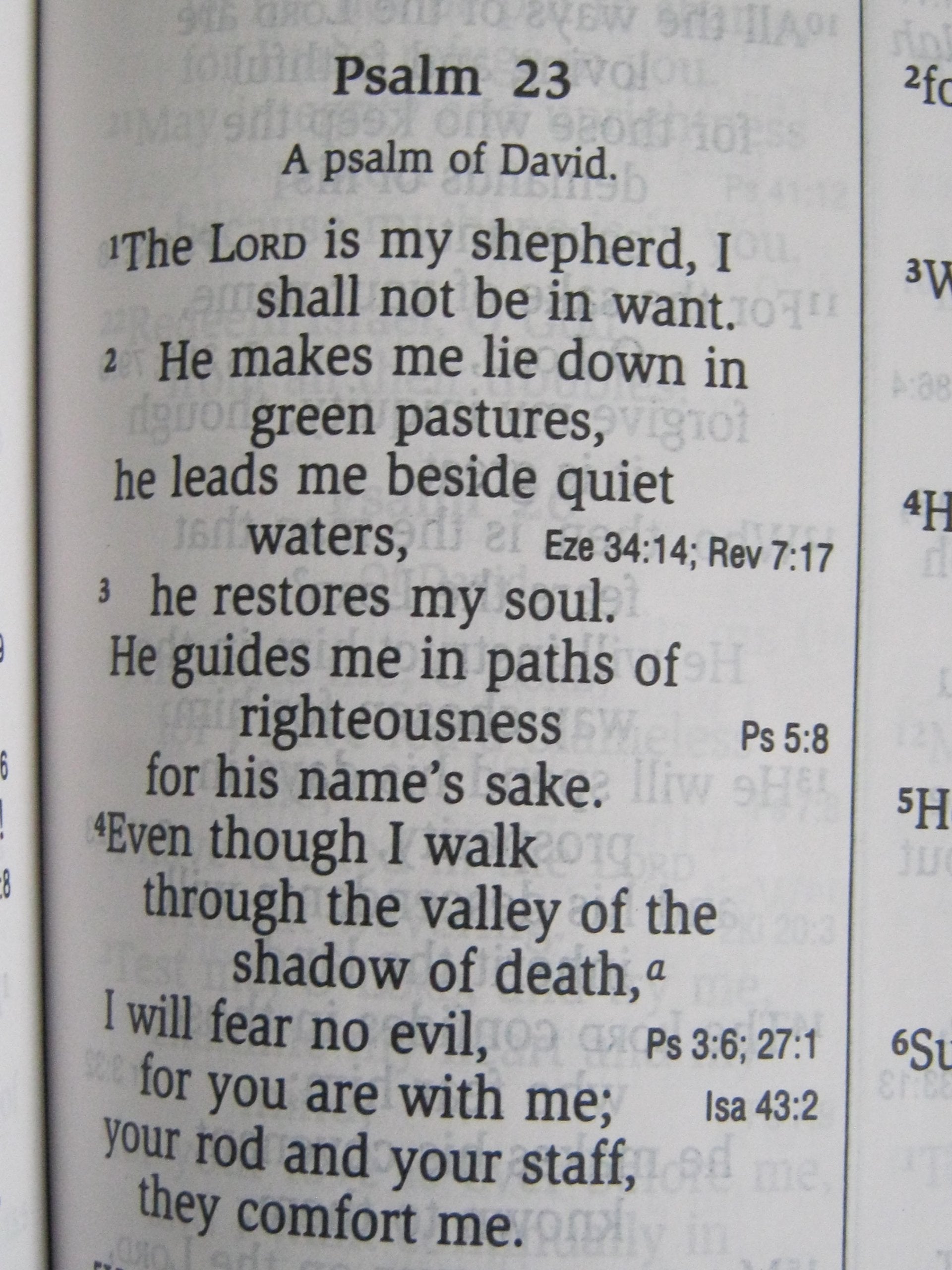 NIV Giant Print Reference Bible