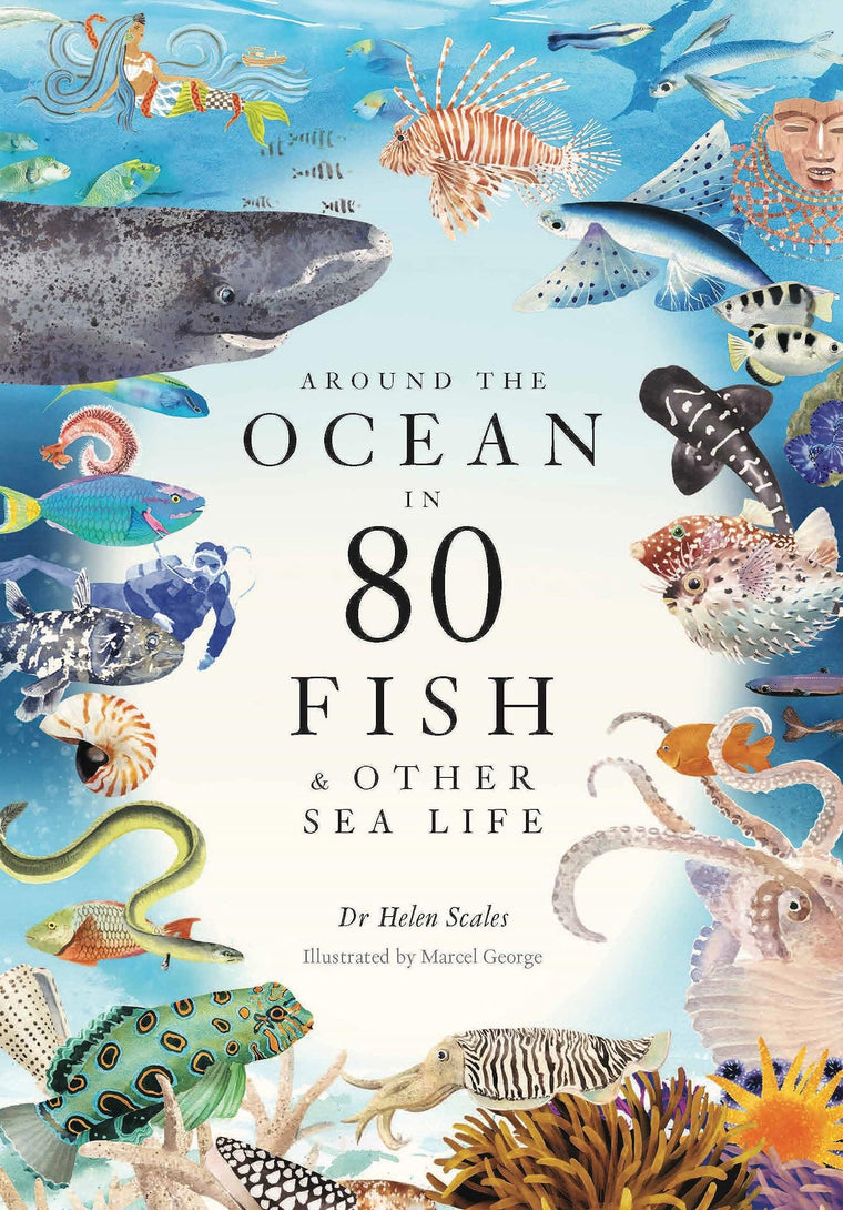 Around the Ocean in 80 Fish and other Sea Life (-)