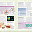 The Human Brain Book: An Illustrated Guide to its Structure, Function, and Disorders (DK Human Body Guides)