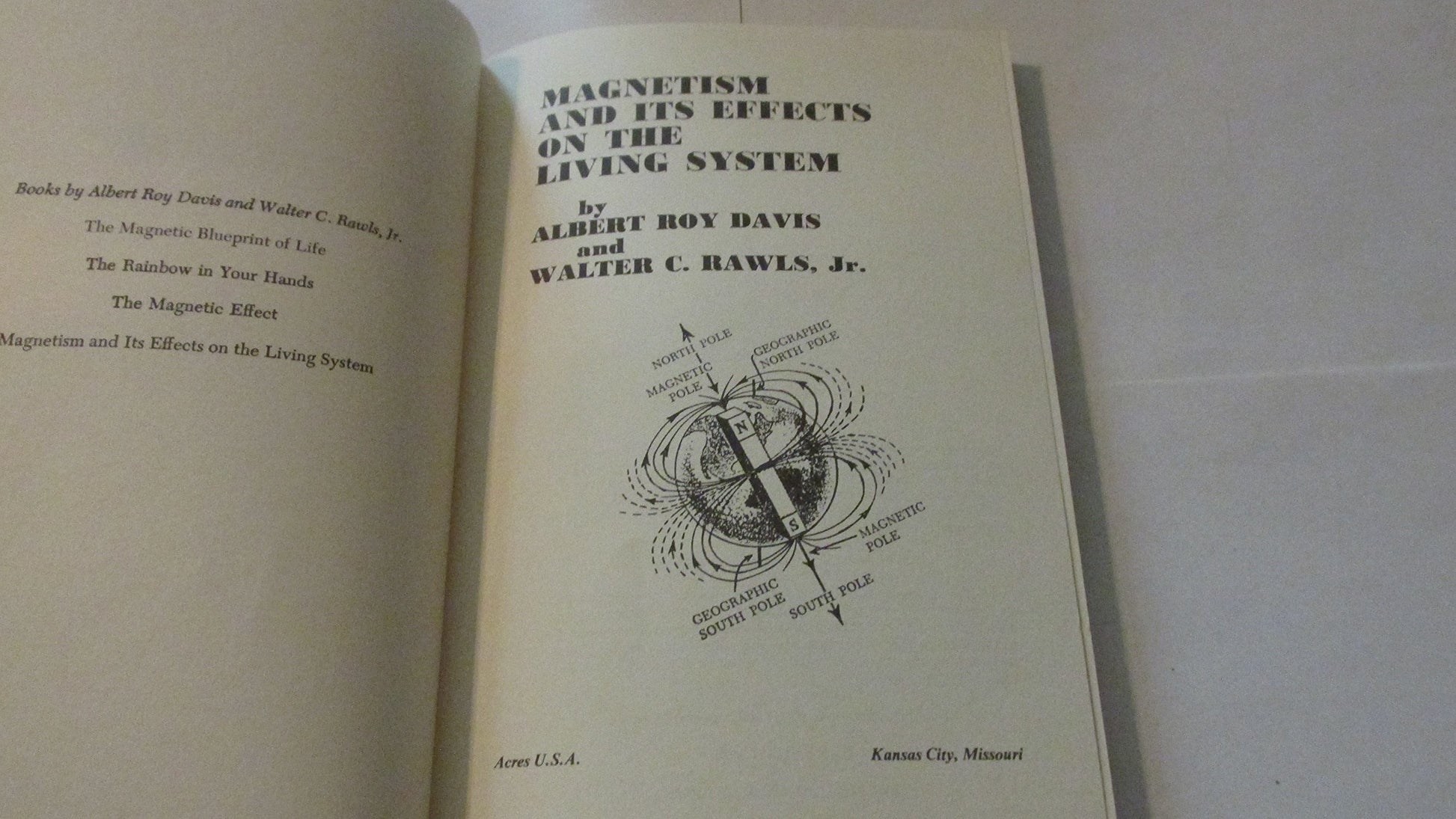 Magnetism and Its Effects on the Living System
